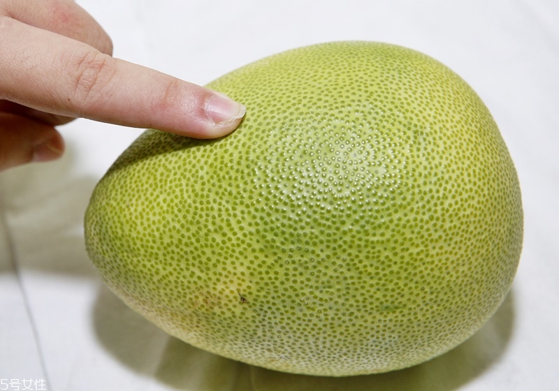文旦柚怎么挑選 文旦柚選購技巧 文旦柚怎么挑選 文旦柚選購技巧