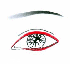 先畫眼影還是先畫眼線？先畫眼影不會讓眼線暈掉