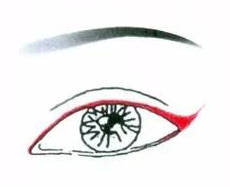 先畫眼影還是先畫眼線？先畫眼影不會讓眼線暈掉