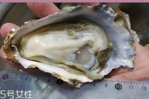 生蠔會(huì)有寄生蟲嗎？不生吃就沒關(guān)系