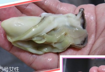 生蠔會(huì)有寄生蟲嗎？不生吃就沒關(guān)系