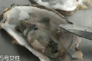 生蠔會上火嗎？烤生蠔易上火