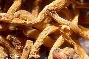 玉竹多少錢一斤 2018最新價(jià)格行情 玉竹多少錢一斤 2018最新價(jià)格行情