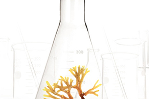 精華液可以代替乳液嗎？兩者各有分工