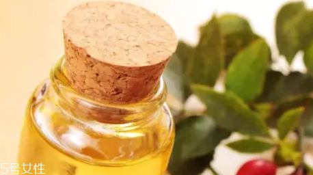 玫瑰果油和玫瑰精油怎么區(qū)分？玫瑰精油超級(jí)昂貴