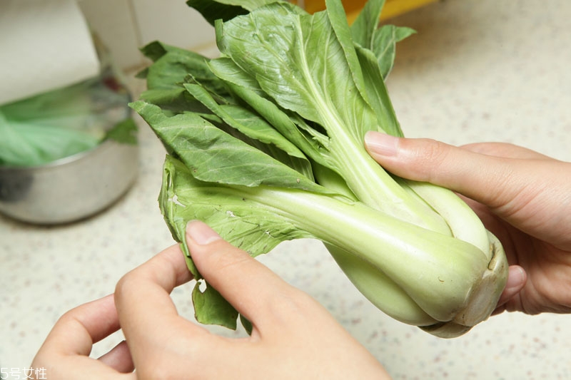 蔬菜怎么保鮮時間久 蔬菜保鮮小技巧 蔬菜怎么保鮮時間久 蔬菜保鮮小技巧