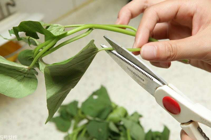 蔬菜怎么保鮮時間久 蔬菜保鮮小技巧 蔬菜怎么保鮮時間久 蔬菜保鮮小技巧