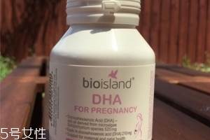 生物島dha好嗎？效果還不錯