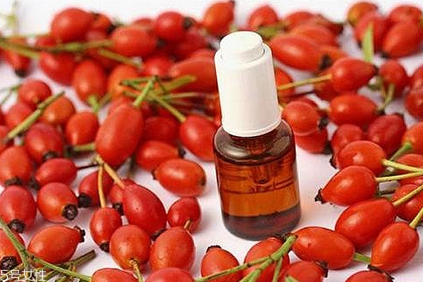 痘痘能用玫瑰果油嗎？愈合之后少量用