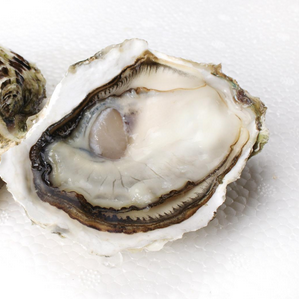 生蠔會(huì)死嗎？生蠔是容易死的