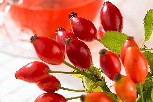 玫瑰果油有結(jié)晶是假貨嗎？純正玫瑰果油不會結(jié)晶