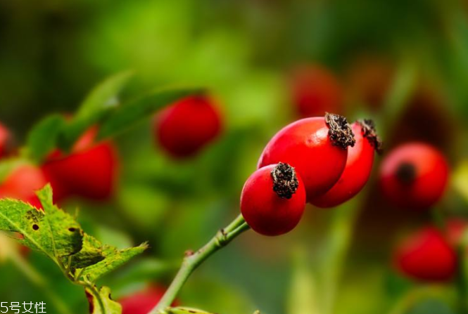 玫瑰果油有結(jié)晶是假貨嗎？純正玫瑰果油不會(huì)結(jié)晶