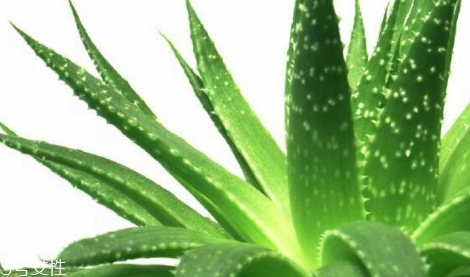 馥佩面膜怎么樣？性價比超高的國貨面膜