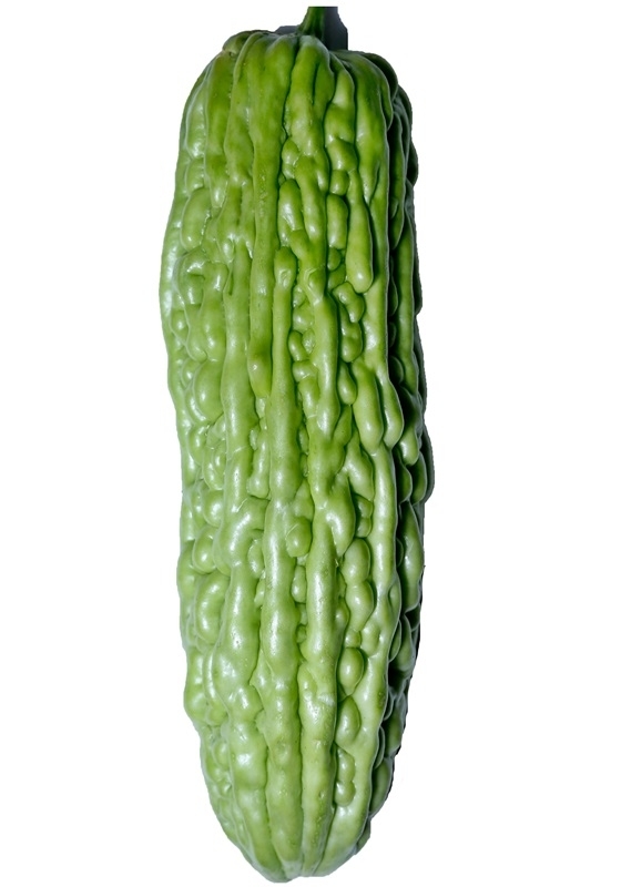 苦瓜品種大全圖片資料 苦瓜品種大全圖片資料