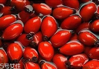 痘痘能用玫瑰果油嗎？愈合之后少量用