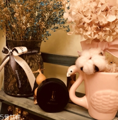 unes優(yōu)理氏好用嗎？