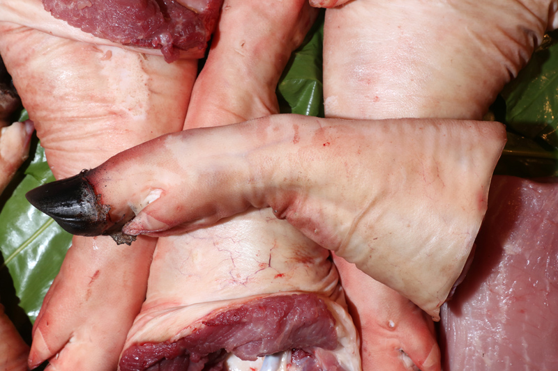 豬各部位肉的名稱(chēng)圖片全解