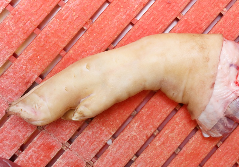 豬各部位肉的名稱(chēng)圖片全解