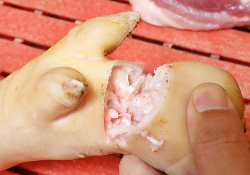 豬各部位肉的名稱(chēng)圖片全解