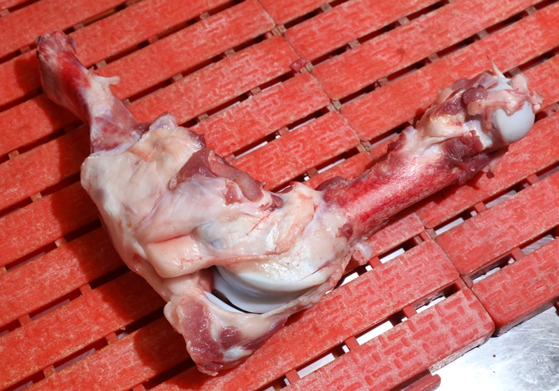 豬各部位肉的名稱(chēng)圖片全解