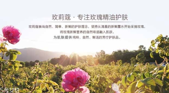 玫莉蔻護膚品怎么樣？主打玫瑰的護膚品牌