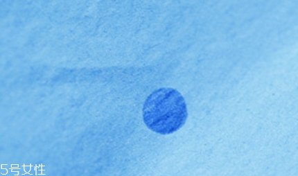 星純是什么牌子？