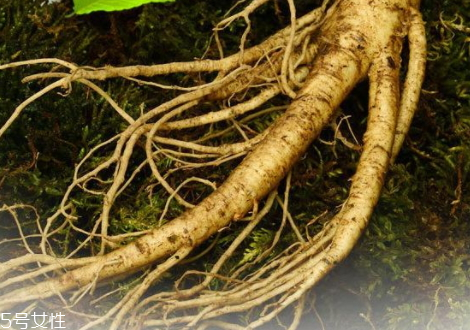 新鮮人參多少錢一斤 價(jià)格相差很大 新鮮人參多少錢一斤 價(jià)格相差很大