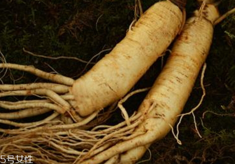 新鮮人參多少錢一斤 價(jià)格相差很大 新鮮人參多少錢一斤 價(jià)格相差很大