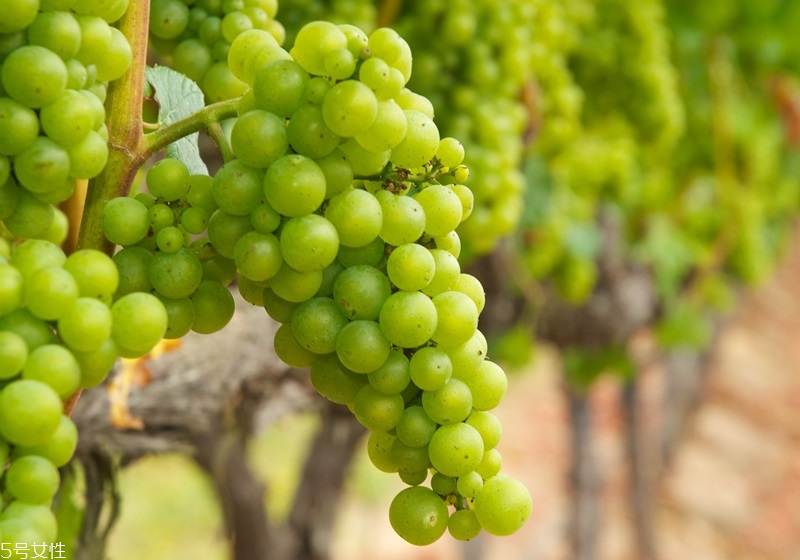 起泡酒和香檳的區(qū)別 氣泡酒和香檳的區(qū)別 起泡酒和香檳的區(qū)別 氣泡酒和香檳的區(qū)別