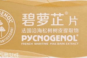 碧蘿芷到底好不好？帶你了解碧蘿芷