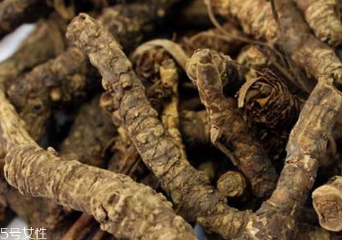 黃連可以直接泡水喝嗎 黃連可以直接泡水喝嗎