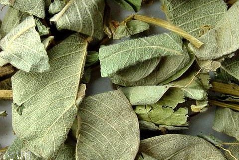 金錢草多少錢一斤 大約在10到15元一斤 金錢草多少錢一斤 大約在10到15元一斤