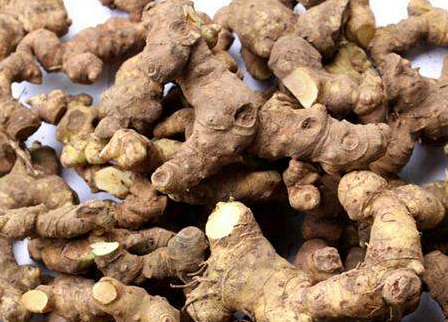 黃精能與茯苓泡水喝嗎 食譜大全 黃精能與茯苓泡水喝嗎 食譜大全