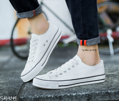 帆布鞋可以用刷子刷嗎？要輕輕的刷