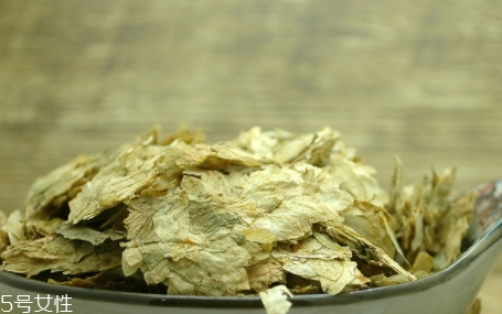 啤酒花是什么？啤酒花功效與作用