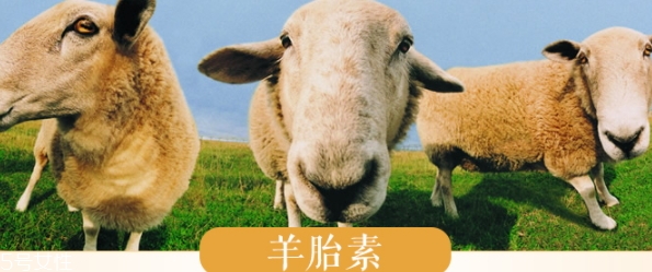 羊胎素和玻尿酸哪個(gè)好？