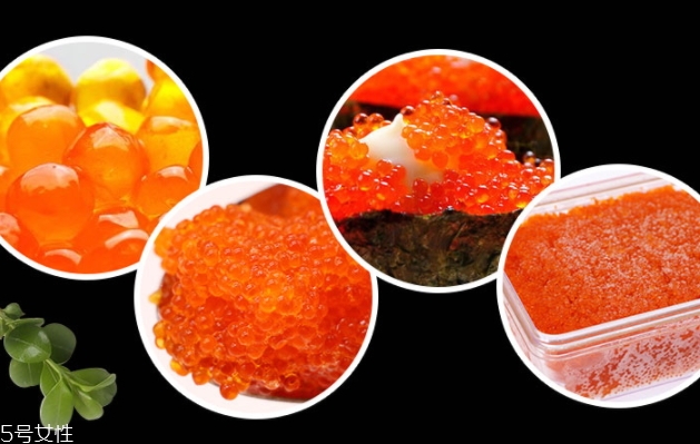 飛魚籽是什么魚的籽？壽司美味的秘訣