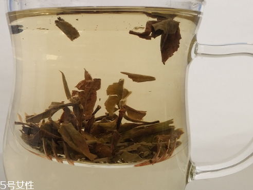 白牡丹茶多少錢一斤？180元左右