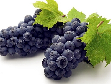 花青素可以長(zhǎng)期服用嗎？