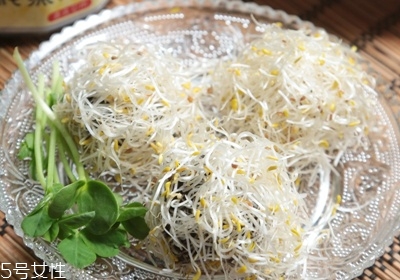 黃豆芽怎么發(fā)最快又好 自發(fā)黃豆芽的方法 黃豆芽怎么發(fā)最快又好 自發(fā)黃豆芽的方法