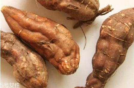 何首烏為什么長得像人 天然形成或人工栽培 何首烏為什么長得像人 天然形成或人工栽培