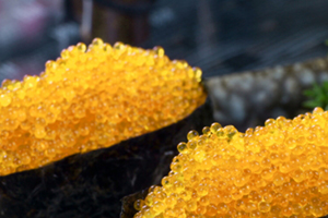 蟹籽是什么？滿口螃蟹的味道