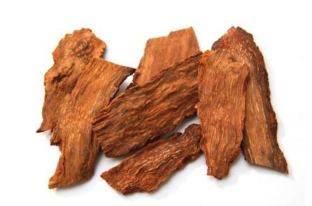 鎖陽不能和什么一起吃 搭配宜忌 鎖陽不能和什么一起吃 搭配宜忌