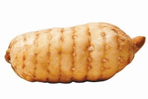 天麻為什么要姜制 增強祛風并有溫中祛痰之功