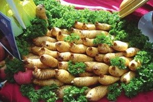 烏天麻多少錢一斤 價格相對比較高