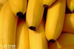 仙人蕉多少錢一斤？