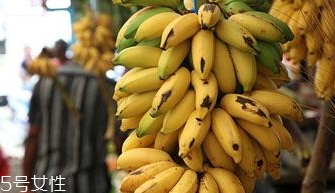 仙人蕉多少錢一斤？