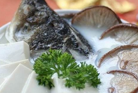 天麻燉魚(yú)頭小孩能吃嗎 不可以喝太多