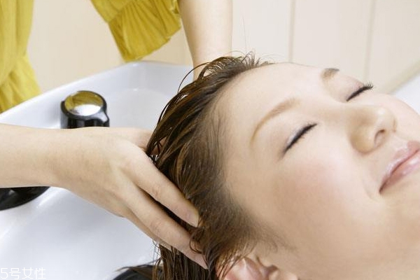為什么天天洗頭還是油？洗發(fā)水不能直接抹頭頂