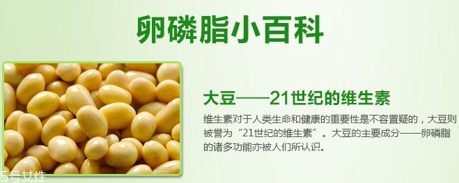 卵磷脂什么時候吃最好？早晚飯前最佳